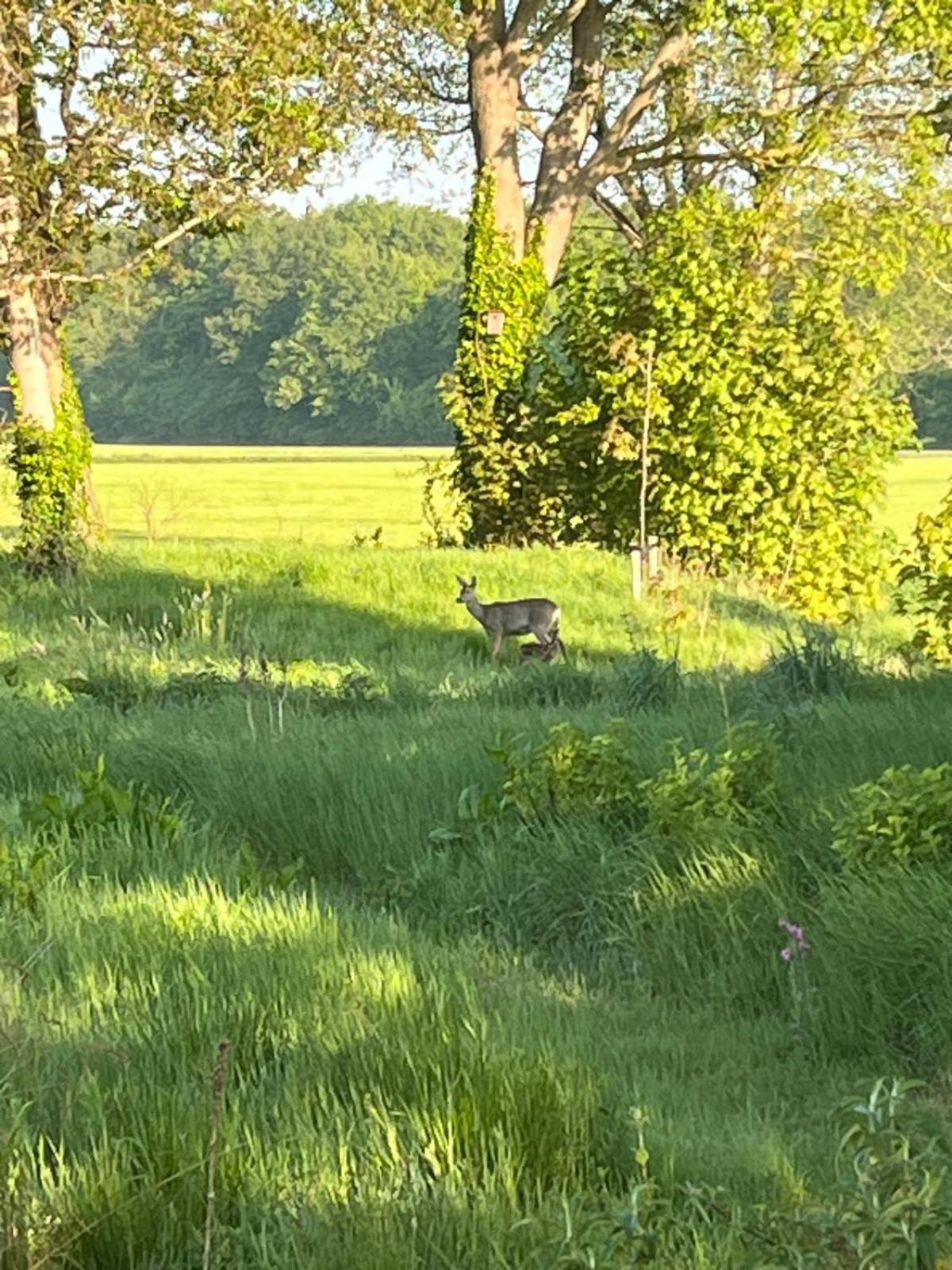 Vila Bij De Kei Appelscha Exteriér fotografie